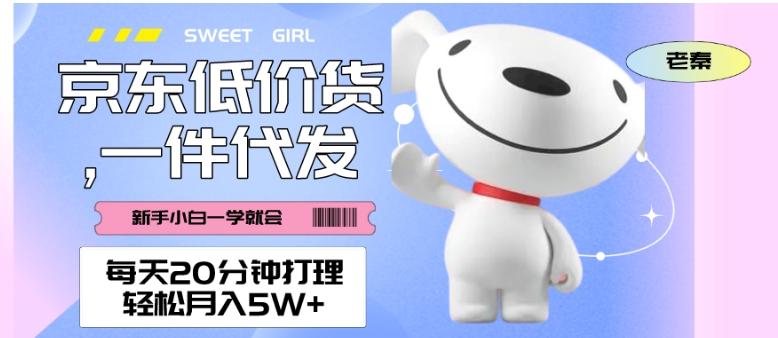 每天20分钟打理京东低价货，一件代发-轻松月入5W＋-策里行间