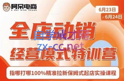 阿呆电商·全店动销经营模式特训营(线下录音+思维导图)-策里行间
