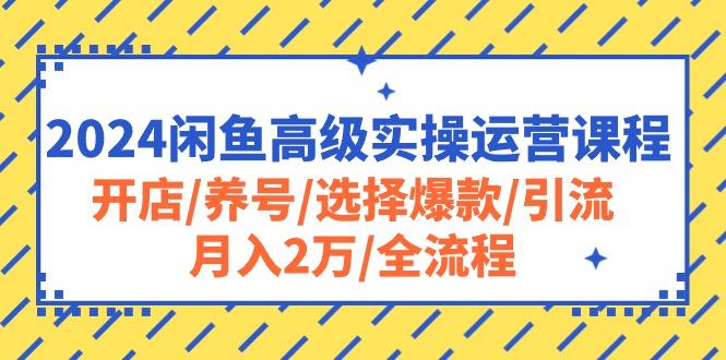 2024闲鱼高级实操运营课程：开店/养号/选择爆款/引流/月入2万/全流程-策里行间