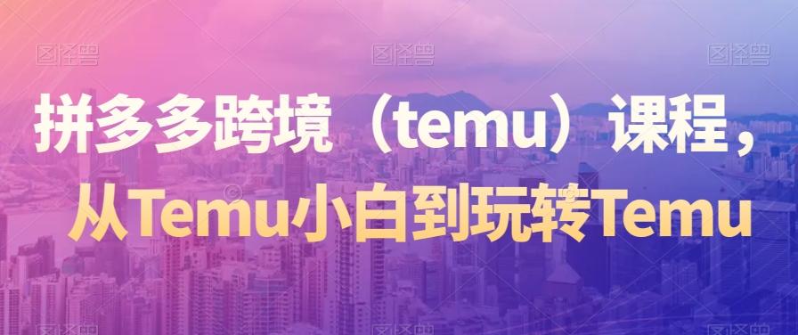 拼多多跨境（temu）课程，从Temu小白到玩转Temu-策里行间