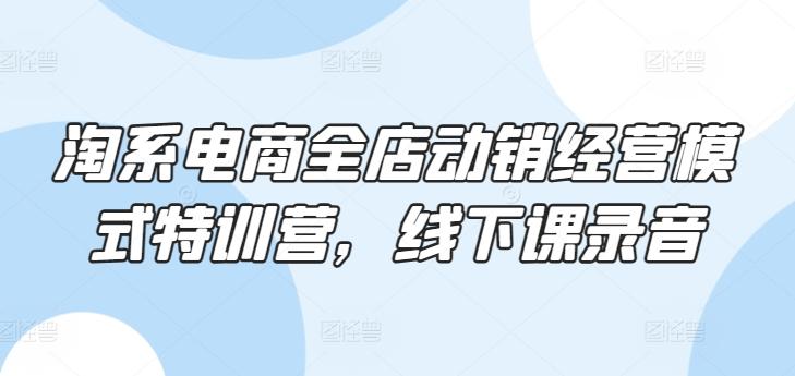 淘系电商全店动销经营模式特训营，线下课录音-策里行间