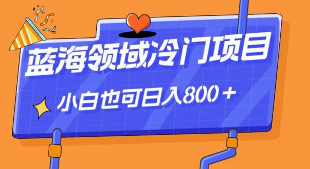 蓝海领域冷门赛道，一单39.9，日入800＋-策里行间
