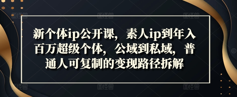 新个体ip公开课，素人ip到年入百万超级个体，公域到私域，普通人可复制的变现路径拆解-策里行间