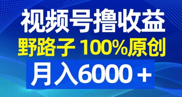 视频号野路子撸收益，100%原创，条条爆款，月入6000＋【揭秘】-策里行间