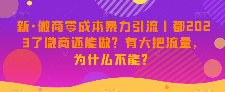 新·微商零成本暴力引流丨都2023了微商还能做？有大把流量，为什么不能？-策里行间