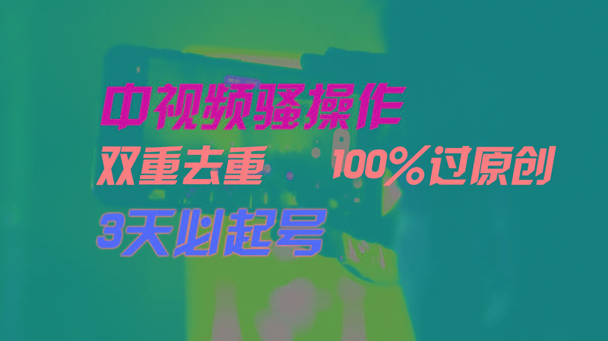 中视频骚操作，双重去重100%过原创，3天比必起号，简单无脑，月入3W+-策里行间