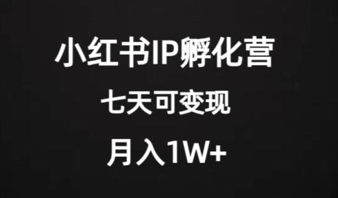 价值2000+的小红书IP孵化营项目，超级大蓝海，七天即可开始变现，稳定月入1W+-策里行间
