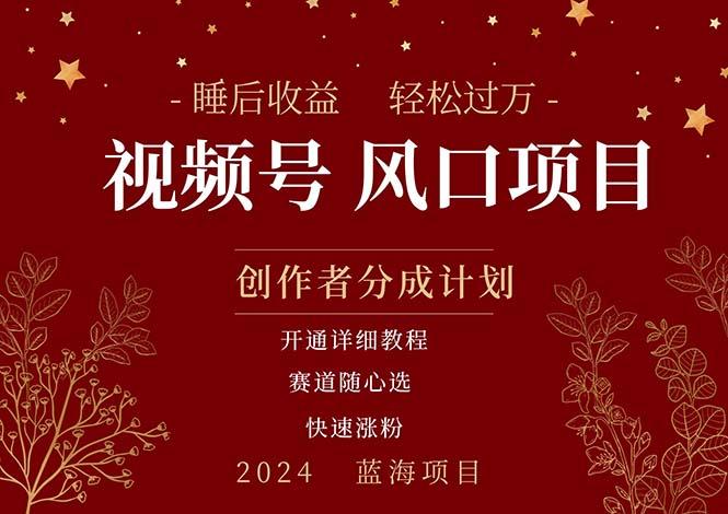 拥有睡眠收益的微信视频号大风口项目，轻松月入过万+，多赛道选择，可…-策里行间