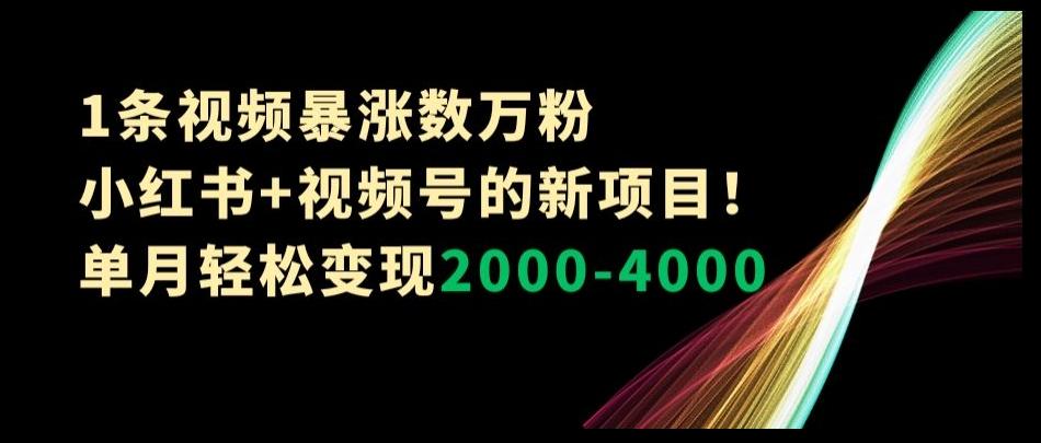 1条视频暴涨数万粉–小红书+视频号的新项目！单月轻松变现2000-4000【揭秘】-策里行间