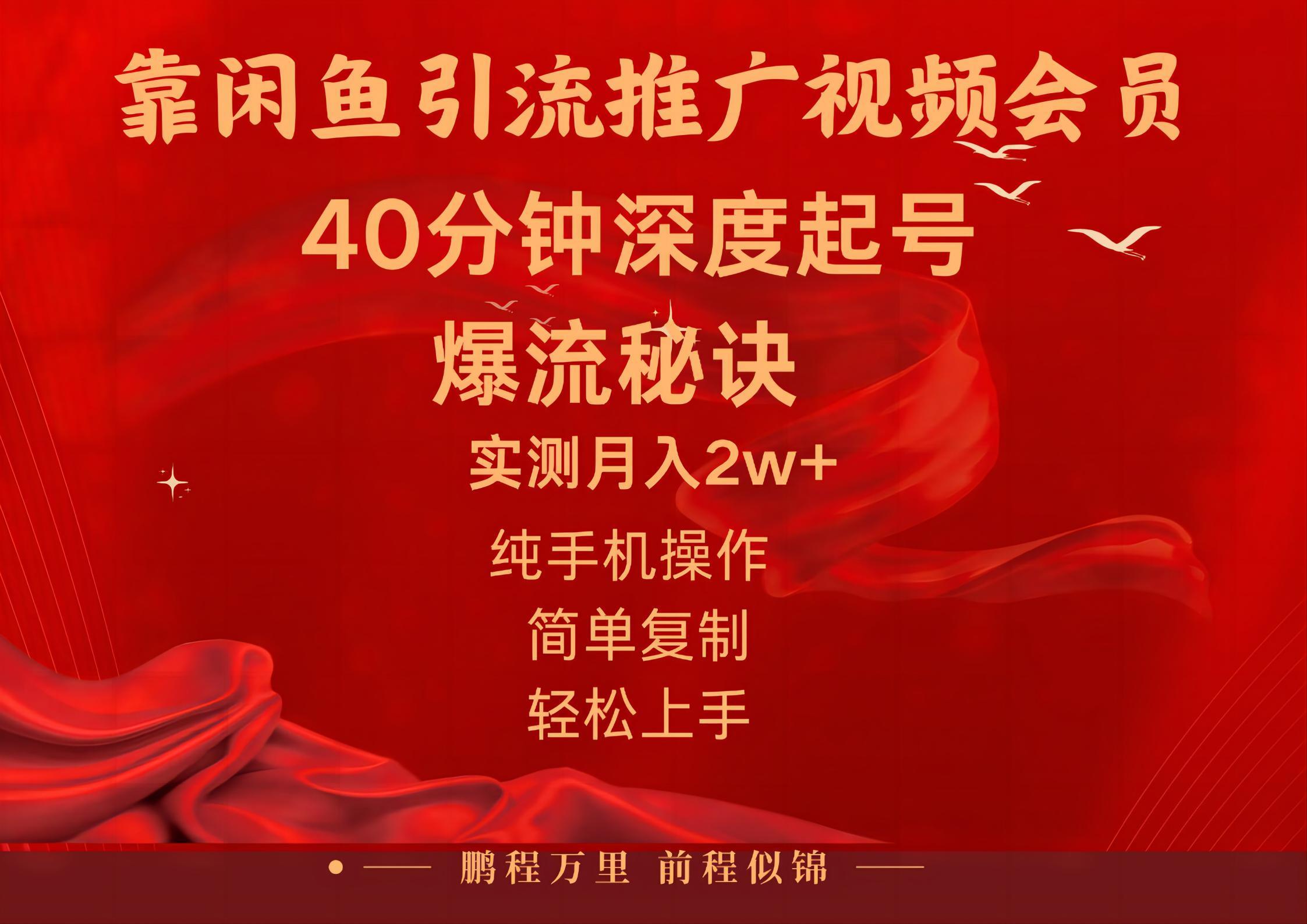 闲鱼暴力引流推广视频会员，能做到日入2W+，操作简单-策里行间