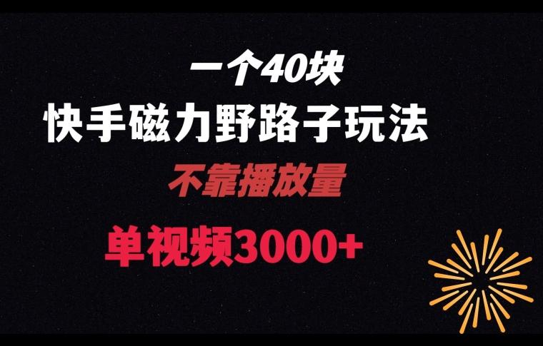 一个40块，快手联合美团磁力新玩法，无视机制野路子玩法，单视频收益4位数【揭秘】-策里行间