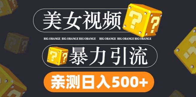 搬运tk美女视频全网分发，日引s粉300+，轻松变现，不限流量不封号【揭秘】-策里行间