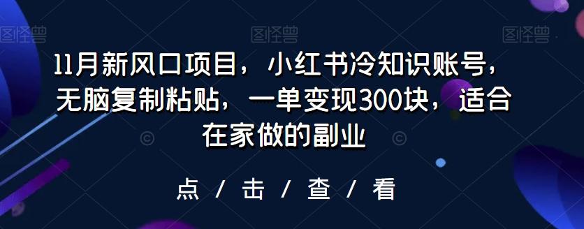 11月新风口项目，小红书冷知识账号，无脑复制粘贴，一单变现300块，适合在家做的副业-策里行间