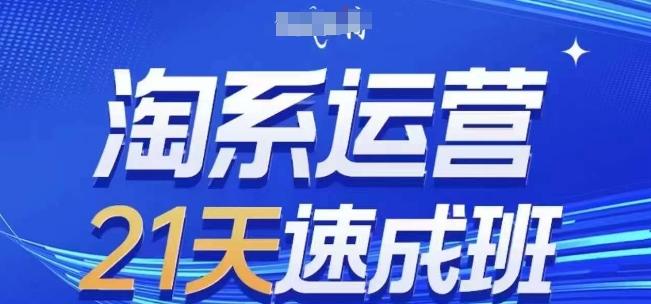淘系运营21天速成班(更新24年7月)，0基础轻松搞定淘系运营，不做假把式-策里行间