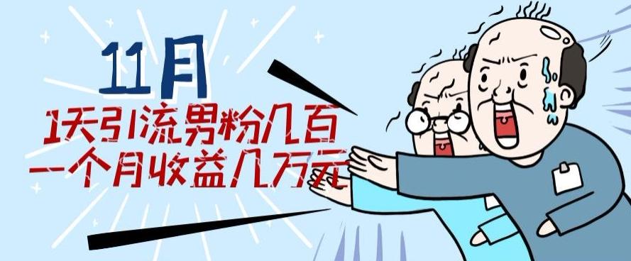 11月最新每天引流男粉300+一个月收益几万元-策里行间