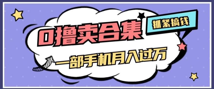 0撸项目月入过万，售卖全套ai工具合集，一单29.9元，一部手机即可【揭秘】-策里行间