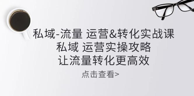 私域-流量 运营&转化实操课：私域 运营实操攻略 让流量转化更高效-策里行间