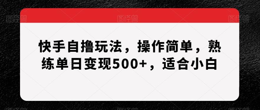 快手自撸玩法，操作简单，熟练单日变现500+，适合小白【揭秘】-策里行间
