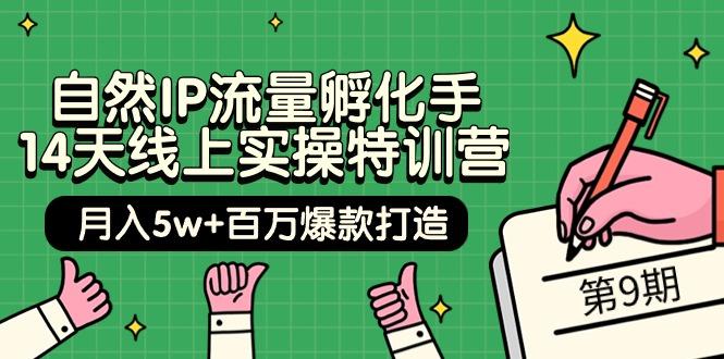 (9881期)自然IP流量孵化手 14天线上实操特训营【第9期】月入5w+百万爆款打造 (74节)-策里行间