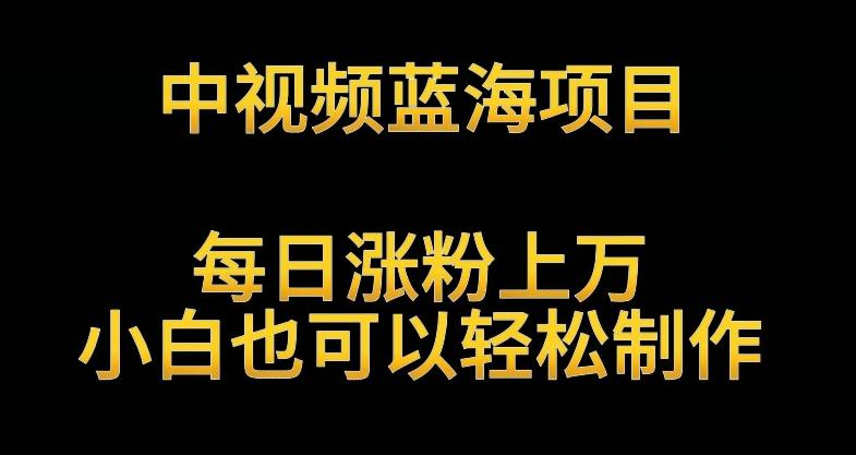 中视频蓝海项目，解读英雄人物生平，每日涨粉上万，小白也可以轻松制作，月入过万不是梦【揭秘】-策里行间