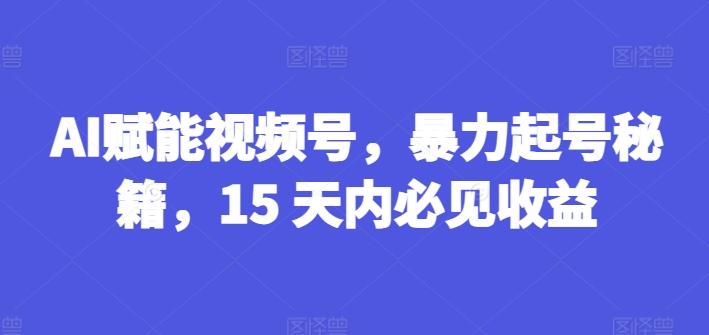 AI赋能视频号，暴力起号秘籍，15 天内必见收益【揭秘】-策里行间