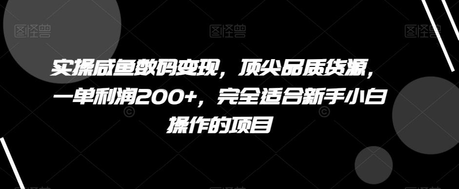 实操咸鱼数码变现，顶尖品质货源，一单利润200+，完全适合新手小白操作的项目【揭秘】-策里行间