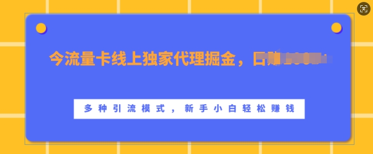 流量卡线上独家代理掘金，日入1k+ ，多种引流模式，新手小白轻松上手【揭秘】-策里行间