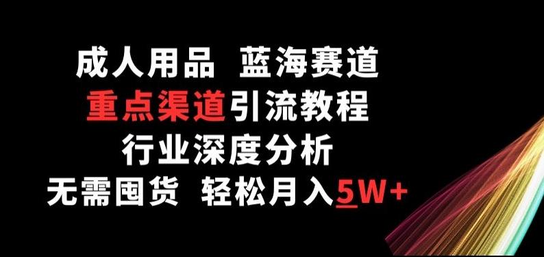 成人用品，蓝海赛道，重点渠道引流教程，行业深度分析，无需囤货，轻松月入5W+【揭秘】-策里行间