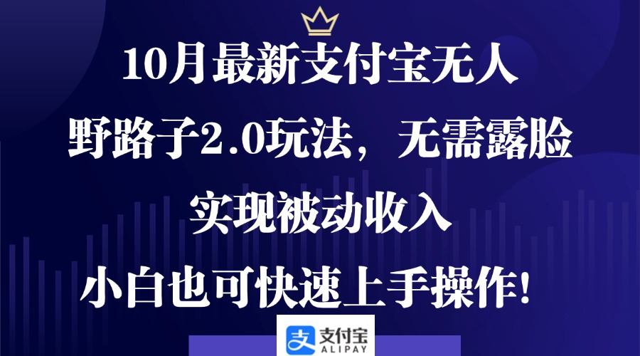 10月最新支付宝无人野路子2.0玩法，无需露脸，实现被动收入，小白也可…-策里行间