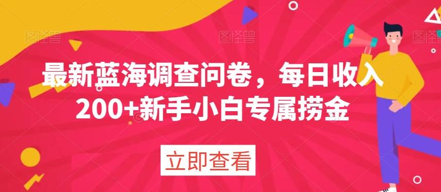最新蓝海调查问卷，每日收入200+新手小白专属捞金-策里行间