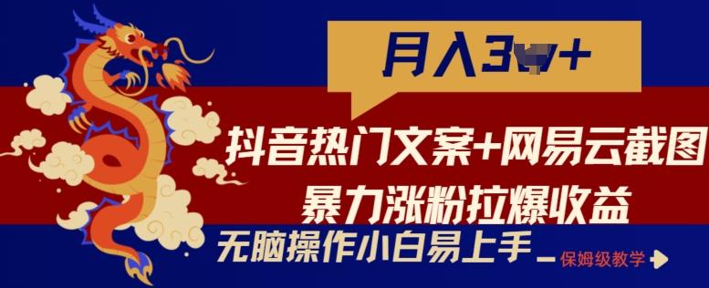 抖音热门文案+网易云截图暴力涨粉拉爆收益玩法，小白无脑操作，简单易上手【揭秘】-策里行间