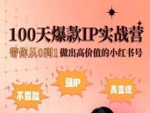小红书100天爆款IP实战营，带你从0到1做出高价值的小红书号-策里行间