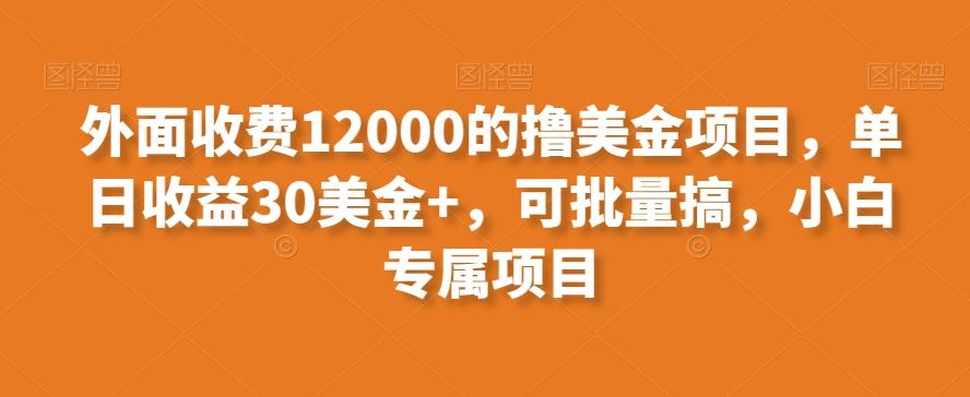 外面收费12000的撸美金项目，单日收益30美金+，可批量搞，小白专属项目-策里行间
