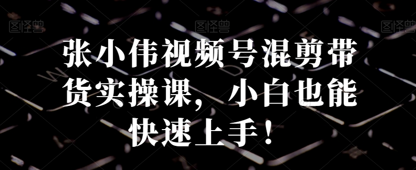 张小伟视频号混剪带货实操课，小白也能快速上手！-策里行间