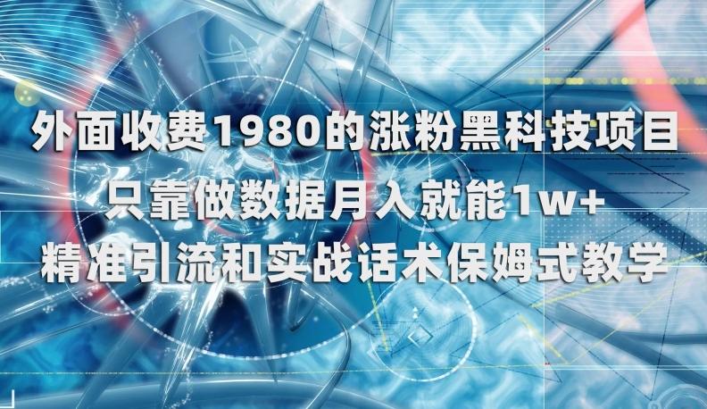 外面收费1980的涨粉黑科技项目，只靠做数据月入就能1w+【揭秘】-策里行间