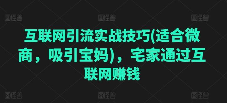 互联网引流实战技巧(适合微商，吸引宝妈)，宅家通过互联网赚钱-策里行间