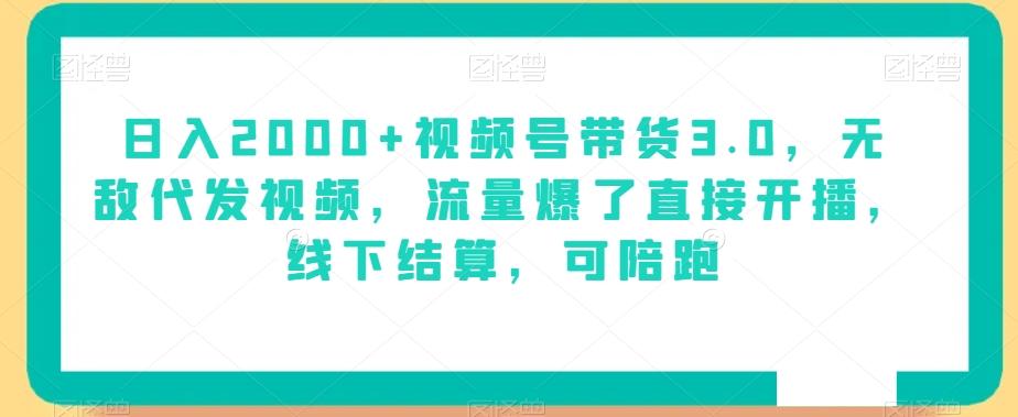 日入2000+视频号带货3.0，无敌代发视频，流量爆了直接开播，线下结算，可陪跑-策里行间