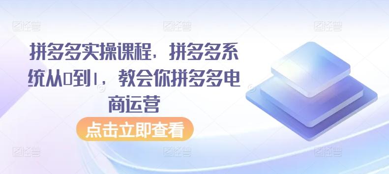 拼多多实操课程，拼多多系统从0到1，教会你拼多多电商运营-策里行间