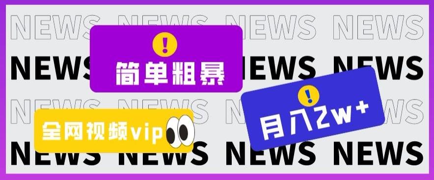 简单粗暴零成本，高回报，全网视频VIP掘金项目，月入2万＋【揭秘】-策里行间