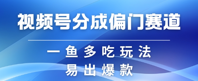 视频号创作者分成计划偏门类目，容易爆流，实拍内容简单易做【揭秘】-策里行间