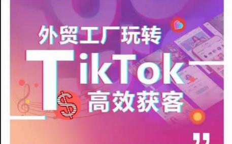外贸工厂玩转TikTok高效获客，多种引流方式与账号定位技巧，拆解爆款短视频打造成功案例-策里行间