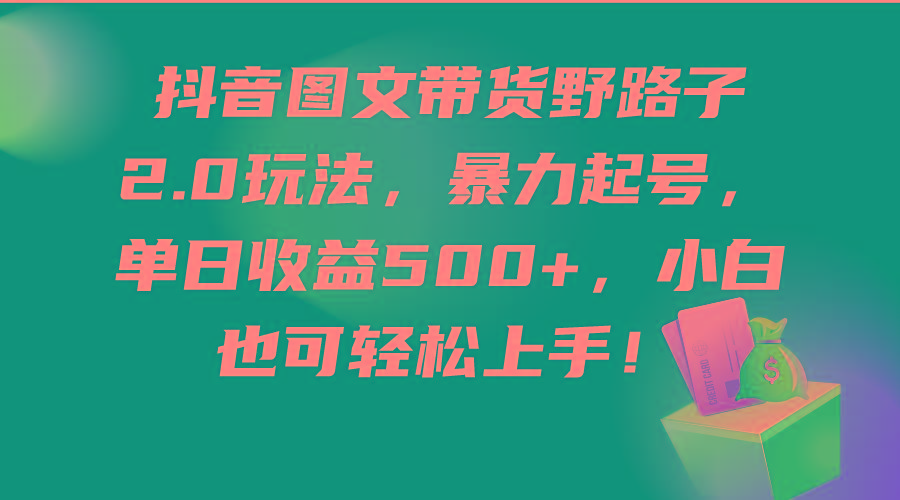 (9790期)抖音图文带货野路子2.0玩法，暴力起号，单日收益500+，小白也可轻松上手！-策里行间