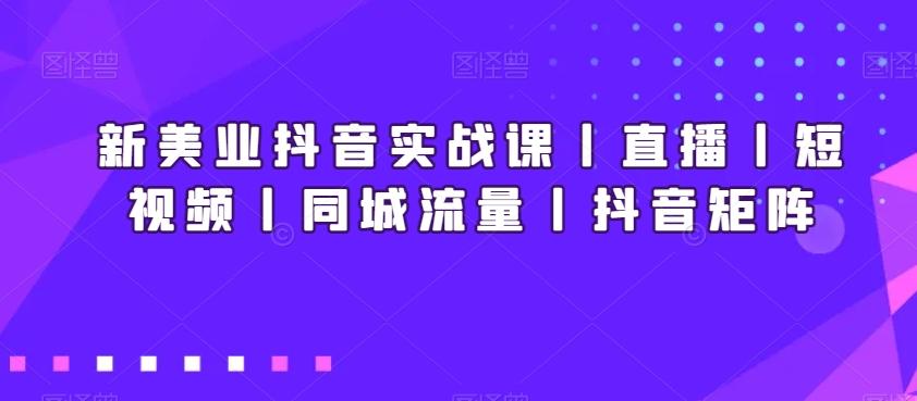 新美业抖音实战课丨直播丨短视频丨同城流量丨抖音矩阵-策里行间