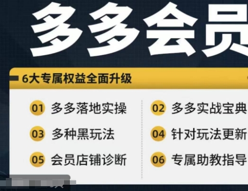拼多多会员，拼多多实战宝典+实战落地实操，从新手到高阶内容全面覆盖-策里行间