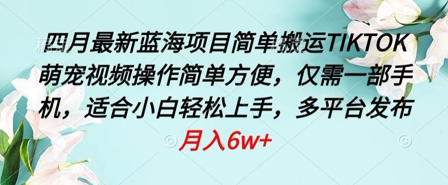 四月最新蓝海项目，简单搬运TIKTOK萌宠视频，操作简单方便，仅需一部手机【揭秘】-策里行间
