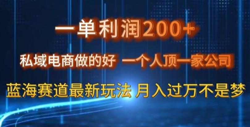 一单利润200私域电商做的好，一个人顶一家公司蓝海赛道最新玩法【揭秘】-策里行间