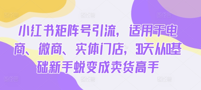 小红书矩阵号引流，适用于电商、微商、实体门店，30天从0基础新手蜕变成卖货高手-策里行间