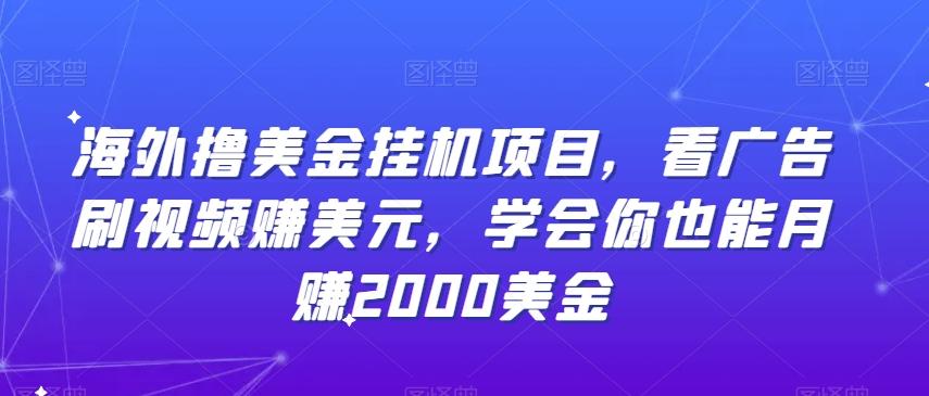 海外撸美金挂机项目，看广告刷视频赚美元，学会你也能月赚2000美金-策里行间