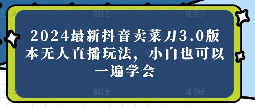 2024最新抖音卖菜刀3.0版本无人直播玩法，小白也可以一遍学会【揭秘】-策里行间