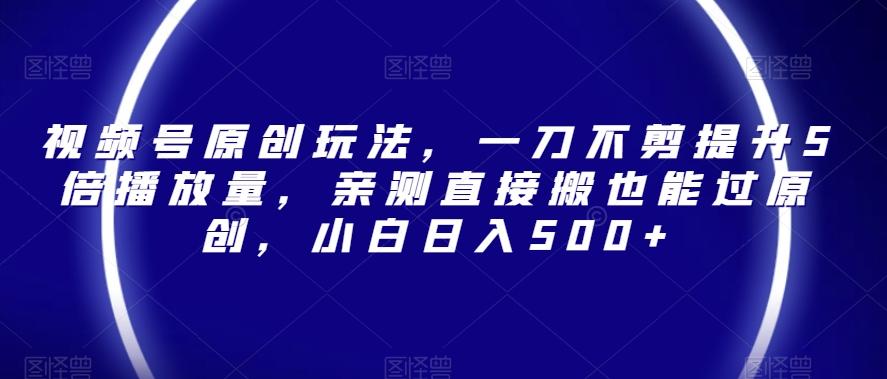视频号原创玩法，一刀不剪提升5倍播放量，亲测直接搬也能过原创，小白日入500+【揭秘】-策里行间